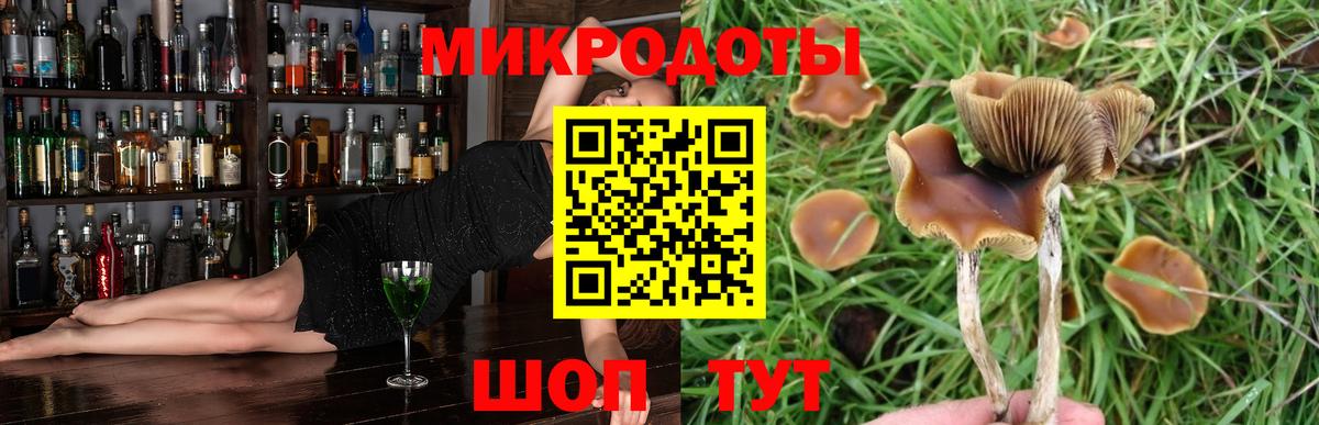 Набережные Челны  закладка  Галлюциногенные грибы MAGIC MUSHROOMS  Вход с VPN  Галлюциногенные грибы мухоморы 
